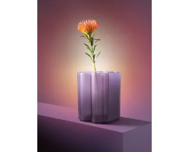 Vaso Okra di Kartell