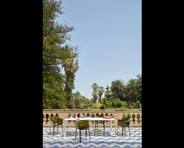 Sedia Papyrus di Kartell