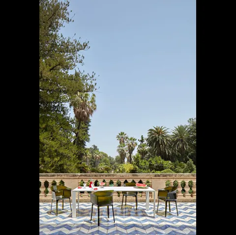 Sedia Papyrus di Kartell